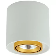 Lampy sufitowe - Polux Oprawa natynkowa LED XENO okrągła 3000K 15W 1200lm biały-złoty 312051 SANICO 312051 - miniaturka - grafika 1