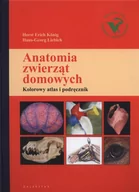 Zdrowie - poradniki - Horst Erich Konig Anatomia zwierząt domowych 2015 - miniaturka - grafika 1