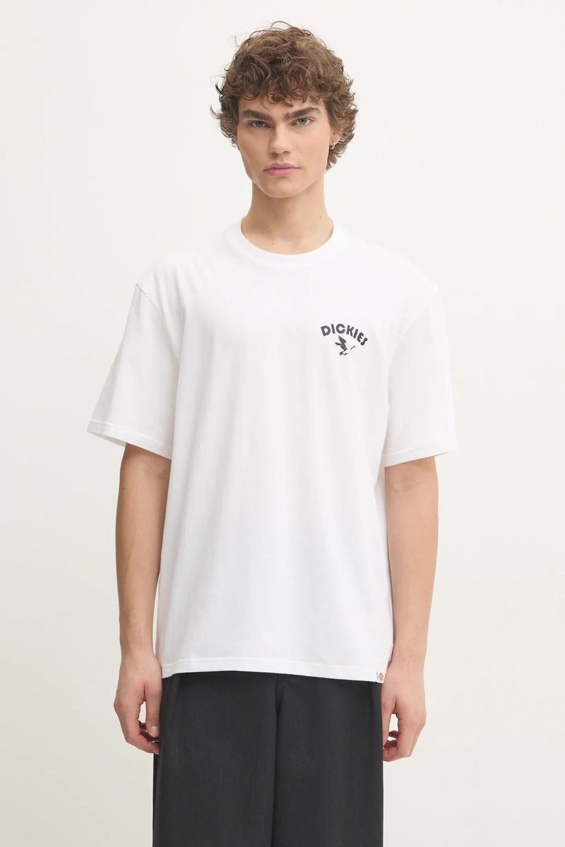 t-shirt uomo dickies goose tee - dk0a863g 0wh1