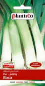 Nasiona i cebule - Plantico Por Baca - miniaturka - grafika 1