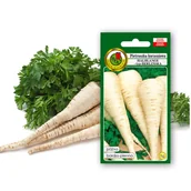 Nasiona i cebule - Pietruszka 'HALBLANGE' odmiana późna Świeże Nasiona Naturalne 5g - miniaturka - grafika 1