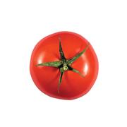 Obrusy i serwetki - Nuova R2S R2S Mata na stół 35 cm R2S Easy Life pomidor T22207 - miniaturka - grafika 1