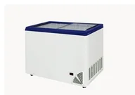 Szafy i witryny chłodnicze - Zamrażarka sklepowa przeszklona BYFAL ARO-400/2 - miniaturka - grafika 1