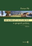 Podręczniki dla szkół wyższych - Krajobrazy kulturowe w geografii polskiej - Florian Plit - miniaturka - grafika 1