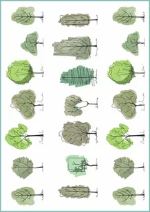 Tatuaże tymczasowe, zmywlne, drawing trees, drzewa, format arkusz A4 - Zabawki kreatywne Tatuaże tymczasowe, zmywlne, drawing trees, drzewa, format arkusz A4 - Zabawki kreatywne - miniaturka - grafika 1