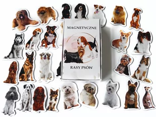 Magnesy kształtowe z tekturą poznaję RASY PSÓW 30 EL/Media Mag - Magnesy - miniaturka - grafika 1