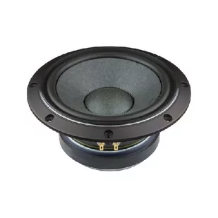 FOSTEX FW208HS głośnik niskotonowy - Głośniki i kolumny - miniaturka - grafika 1