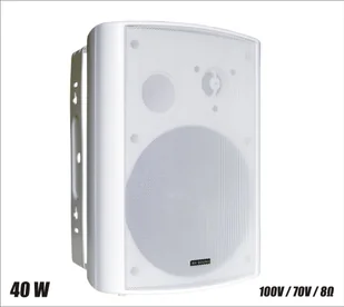 RH SOUND BS-1060TS/W Głośnik 100V ♦ 30 DNI NA ZWROT ♦ GWARANCJA DOOR-TO-DOOR ♦ SZYBKA WYSYŁKA - Głośniki estradowe - miniaturka - grafika 1