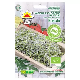 Toraf Kiełki BIO - Rukola 10 g Nas000346 - Nasiona na kiełki - miniaturka - grafika 1