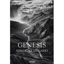 Slovart Genesis Sebastiao Salgado - Pozostałe książki - miniaturka - grafika 1