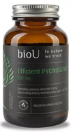 Suplementy naturalne - bioU Efficient Pycnogenol 65% OPC (60 kaps.) - miniaturka - grafika 1