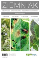 Poradniki hobbystyczne - Agro Ziemniak. Identyfikacja agrofagów oraz niedoborów pokarmowych, wydanie 2 Katarzyna Rębarz - miniaturka - grafika 1