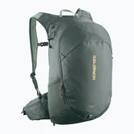 Plecaki - Plecak turystyczny Salomon Trailblazer 20 l urban chic/green milieu - miniaturka - grafika 1