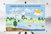 Pomoce naukowe - Plansza - Obieg wody w przyrodzie - miniaturka - grafika 1