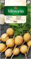 Nasiona i cebule - Rzodkiewka żółta Zlata nasiona 5g Vilmorin - miniaturka - grafika 1