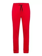 Spodnie męskie - 4F Spodnie męskie, Sieć, XL - miniaturka - grafika 1