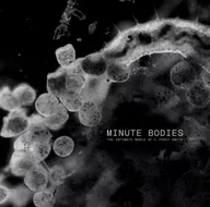 Rock - Tindersticks Minute Bodies Limited Edition CD/DVD) - miniaturka - grafika 1