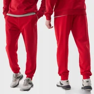 Dresy męskie - 4F SPODNIE DRESOWE MĘSKIE JOGGERY DRESY SPORTOWE SS24 - miniaturka - grafika 1
