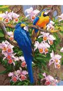 Malowanie po numerach - Malowanie po numerach - Papugi Ara 40x50cm - miniaturka - grafika 1