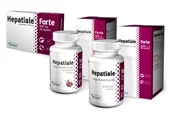Pielęgnacja psów i kotów - Hepatiale Forte Małe Psy I Kot  40 Kapsułek - miniaturka - grafika 1