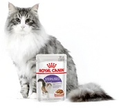 Mokra karma dla kotów - Royal Canin Sterilised sos) 24x85g saszetka 16496-uniw - miniaturka - grafika 1
