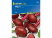 Nasiona i cebule - Burak ćwikłowy D'Egypte wczesna odmiana Kiepenkerl - miniaturka - grafika 1