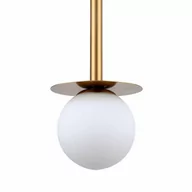 Lampy sufitowe - Roma 1pł. wisząca złota - miniaturka - grafika 1