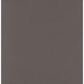 Płytki klinkierowe - Gres techniczny Salti Grey 30X30 Ceramika Paradyż - miniaturka - grafika 1