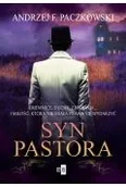 Literatura obyczajowa - Syn pastora - miniaturka - grafika 1