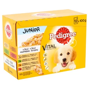 Pedigree Zestaw Junior Saszetki, 24 x 100 g - w galarecie - Mokra karma dla psów - miniaturka - grafika 1