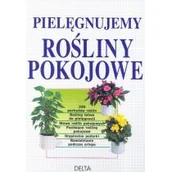 Dom i ogród - Pielęgnujemy rośliny pokojowe - Jurgen Wolff - miniaturka - grafika 1