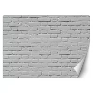 Fototapety - Fototapeta, Biała ściana z cegły (Rozmiar 150x105) - miniaturka - grafika 1