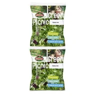 Szybkie dania obiadowe - Sałatka Salsa Mix Dwupack 2X50G Eisberg - miniaturka - grafika 1