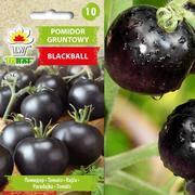 Nasiona i cebule - Toraf Nasiona Pomidor gruntowy Blackball 0,3g - miniaturka - grafika 1