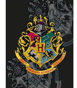 Halantex Koc Polarowy Harry Potter HP-8168FB 38769 - Koce i narzuty dla dzieci - miniaturka - grafika 1