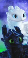 Okrycia kąpielowe dla dzieci - Ręcznik kąpielowy Jak wytresować smoka Magic, 70 x 140 cm - miniaturka - grafika 1