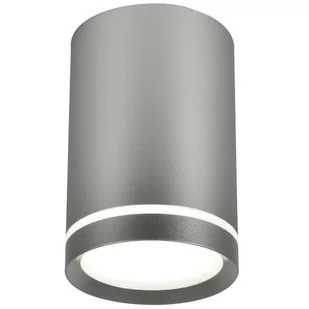 Candellux Lampa sufitowa srebrna 6,8x10cm Tuba 2277158 2277158 - Lampy sufitowe - miniaturka - grafika 1