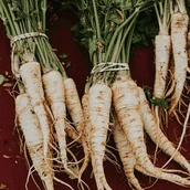 Nasiona i cebule - PASTERNAK PÓŁDŁUGI BIAŁY słodki w smaku NASIONA p. DE80016320135843, 74191CIAN0DX - miniaturka - grafika 1