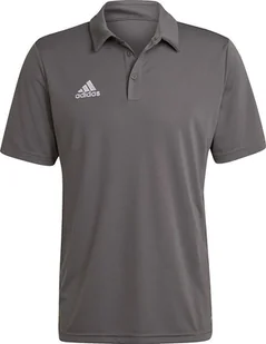 Adidas Koszulka adidas ENTRADA 22 Polo H57486 H57486 szary L - Koszulki męskie - miniaturka - grafika 1