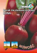 Nasiona i cebule - Burak Ciemnoczerwony Bona 10g / L / - miniaturka - grafika 1