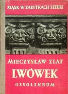 Książki o kulturze i sztuce - Śląsk w zabytkach sztuki Lwówek - miniaturka - grafika 1
