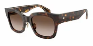 Okulary przeciwsłoneczne - Okulary Przeciwsłoneczne Giorgio Armani AR 8223 Havana - miniaturka - grafika 1