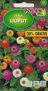 Cynia Liliput Mieszanka 1+0.2 g POLAN - Nasiona i cebule - miniaturka - grafika 1
