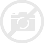 Myszki - OMEGA MOUSE MYSZ BLUETOOTH RECHARGABLE USB-C WIRELESS BEZPRZEWODOWA ŁADOWALNA USB-C 2.4G 1600DPI OFFICE BLACK [46067] - miniaturka - grafika 1