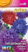 Nasiona i cebule - Aster chryzantemowy mix 1g / L / - miniaturka - grafika 1