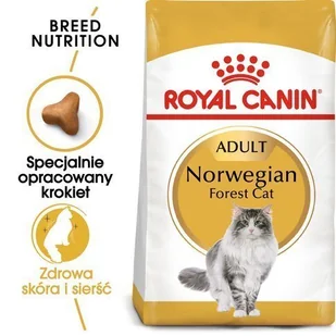 Royal Canin Norwegian Forest Adult 10 kg - Sucha karma dla kotów - miniaturka - grafika 2