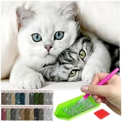 Dekoratorstwo - Haft Diamentowy Artulio, Obraz Diy 5D, Diamond Painting, Mozaika Diamentowa 40X60Cm (Słodkie Kotki) + Zestaw Akcesoriów - miniaturka - grafika 1