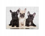 Puzzle - Puzzle 30/70/96/110 Elementów Sublimacja Eko Pudełko Pieski Różne Grafiki - miniaturka - grafika 1
