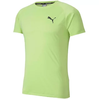 Koszulki sportowe męskie - Koszulka męska Puma Rtg Tee Sharp zielona - grafika 1