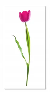 Naklejki ścienne kwiaty mat Tulipan 11, 100x55 cm - Naklejki na ścianę - miniaturka - grafika 1